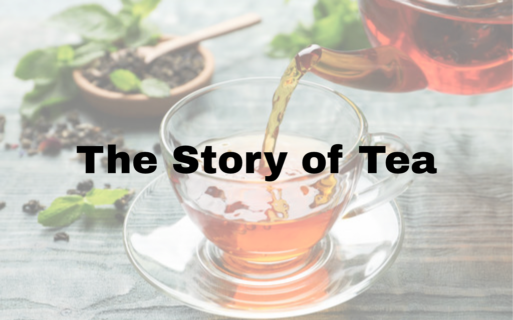 The Story of Tea